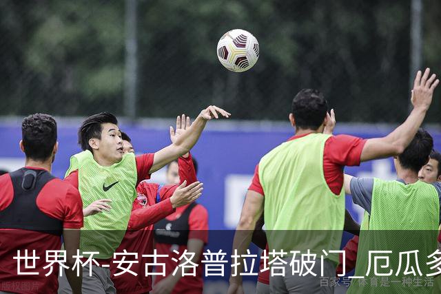 世界杯-安古洛普拉塔破门 厄瓜多尔2-1逆转德国出线