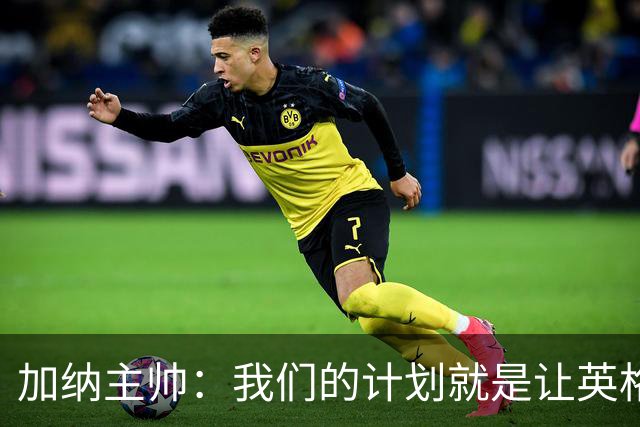 加纳主帅：我们的计划就是让英格兰队受挫