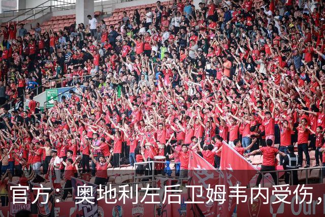 官方：奥地利左后卫姆韦内受伤，莱默尔或波施可能客串出战西班牙