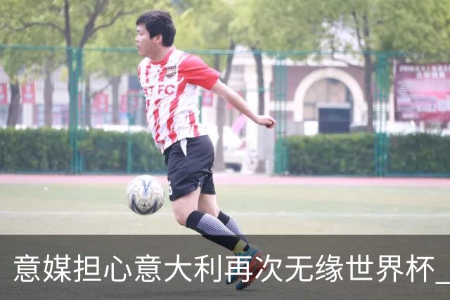 意媒担心意大利再次无缘世界杯 名帅批球队飘了